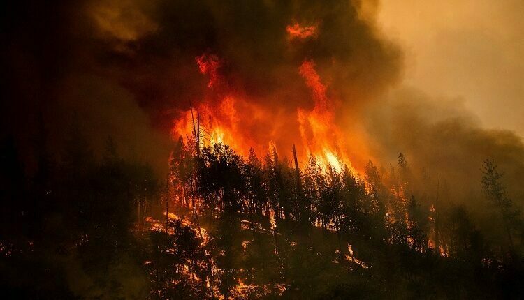 Lightning Strikes Further Ignite Fire, Destroying 1,200 Homes, Killing 7 In CALIFORNIA