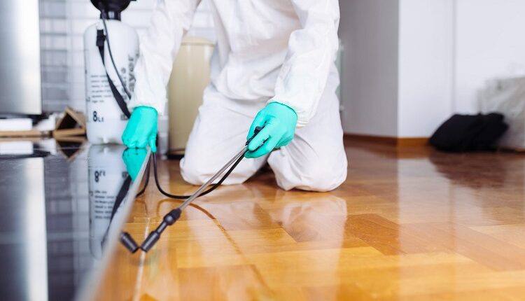 Exterminator Services